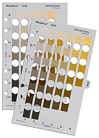 【秋セール】 マンセル Munsell ソイルカラーブック M50215B