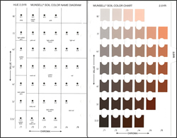 マンセル・土壌色チャート