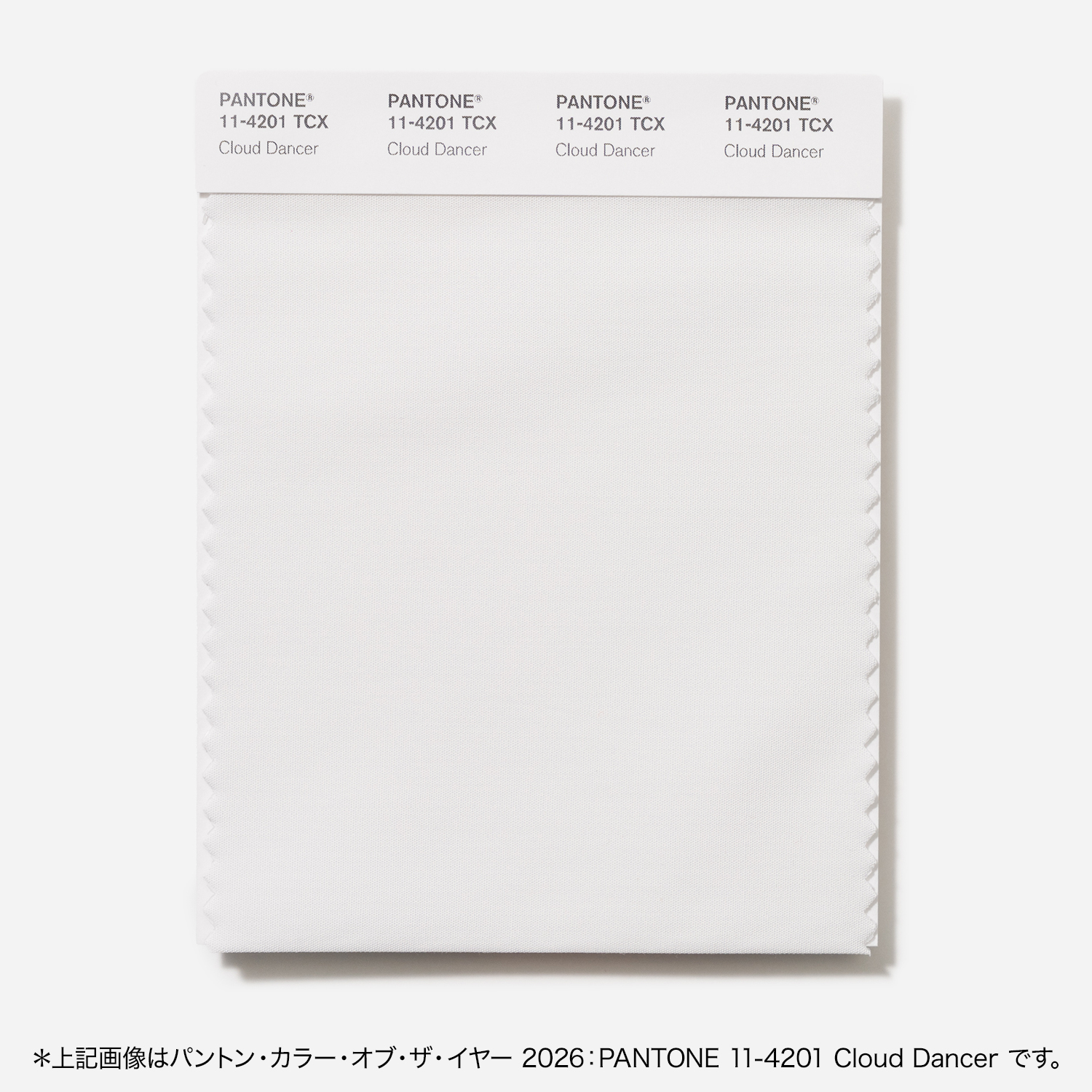 コットン・スワッチカード