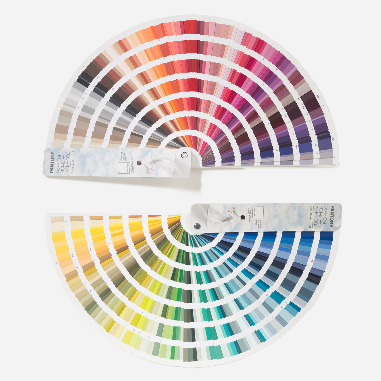 ファッション、ホーム + インテリア・カラーガイド
