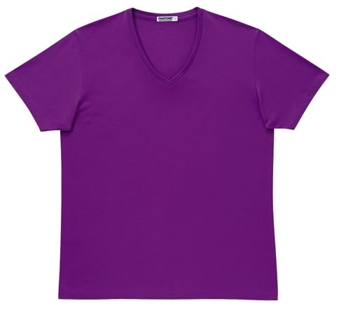 ユニクロのUT シリーズのPANTONE　Tシャツ