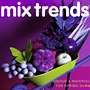 mix trendsの最新刊 Issue 28 Spring Sumer 2015 が入荷しました。
